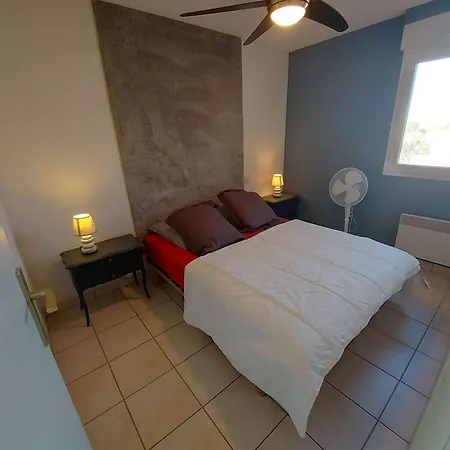 2p Avec Terrasse Sud, Parking, Wifi Et Animaux Acceptes A - Fr-1-326-797