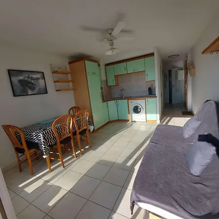 2p Avec Terrasse Sud, Parking, Wifi Et Animaux Acceptés à - Fr-1-326-797 * Marseillan (Herault)