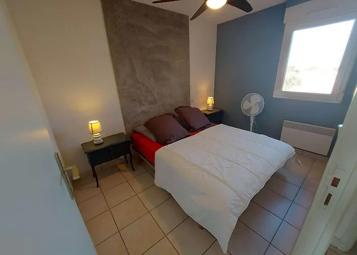 2p Avec Terrasse Sud, Parking, Wifi Et Animaux Acceptés à - Fr-1-326-797