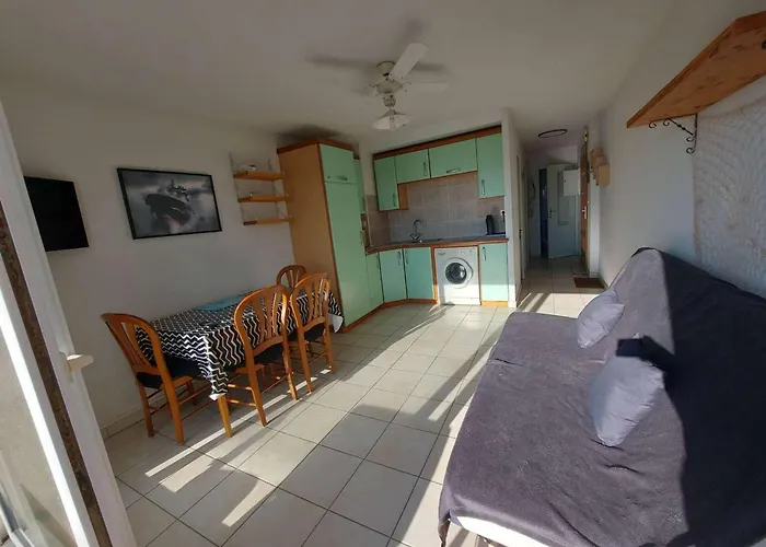 2p Avec Terrasse Sud, Parking, Wifi Et Animaux Acceptés à - Fr-1-326-797 * Marseillan (Herault)